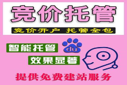 sem运营公司：效果为王的策略